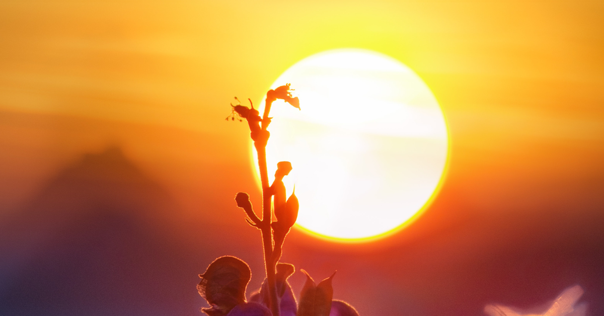 Marina Bay Beacon Press Release California Solar-Plus-Storage Project October 2023