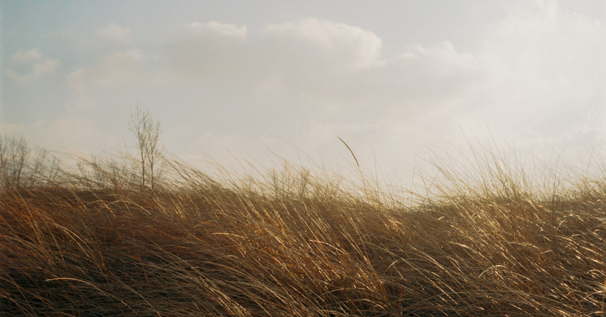 2024 February 17 Marina Bay Beacon PSA Wind Advisory Richmond Contra Costa