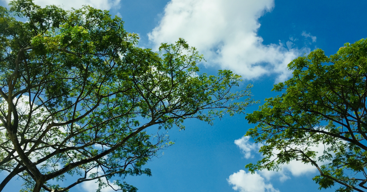 2024 July 15 Marina Bay Beacon News Clean Air Day Microgrant Application Deadline Extended