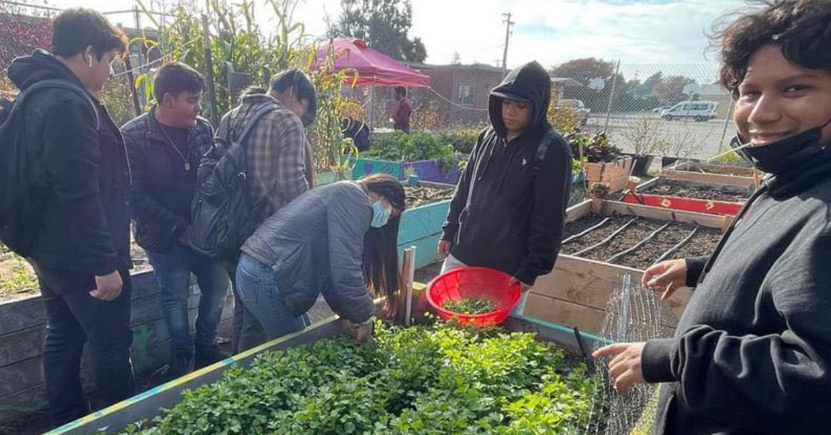 Marina Bay Beacon Event Martin Luther King Jr. Day of Service with Urban Tilth January 2023